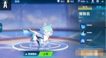 qq飞车新宠物爆料最新,神秘宠物降临！QQ飞车新宠物爆料抢先看